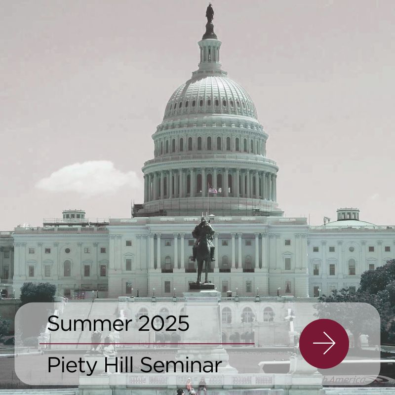 The American Political Novel